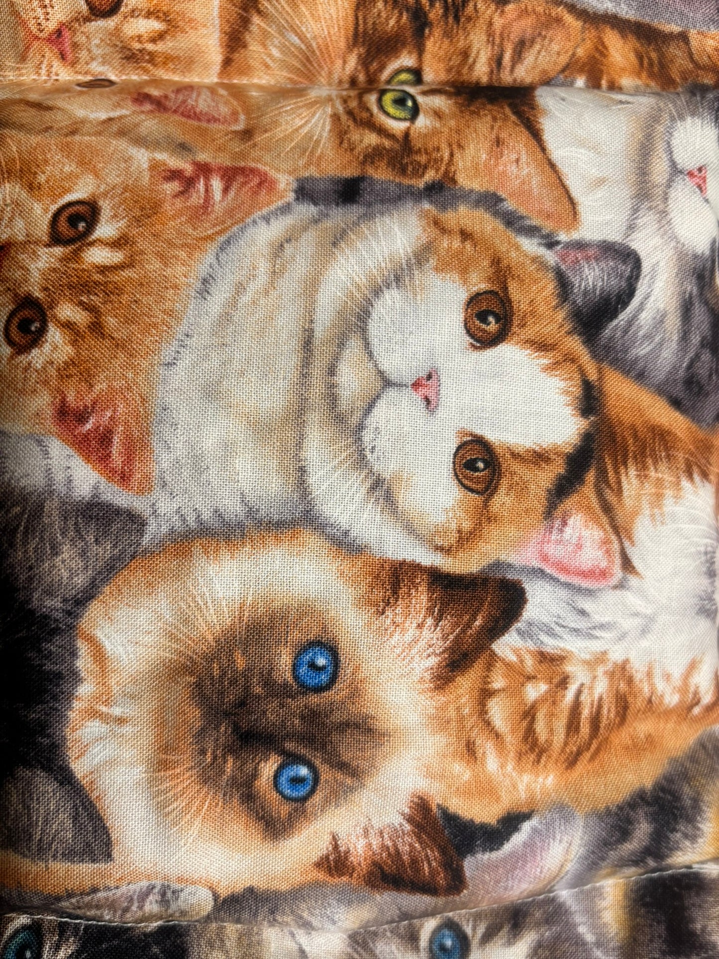 CHERRY-PIT-PAC ORIGINAL