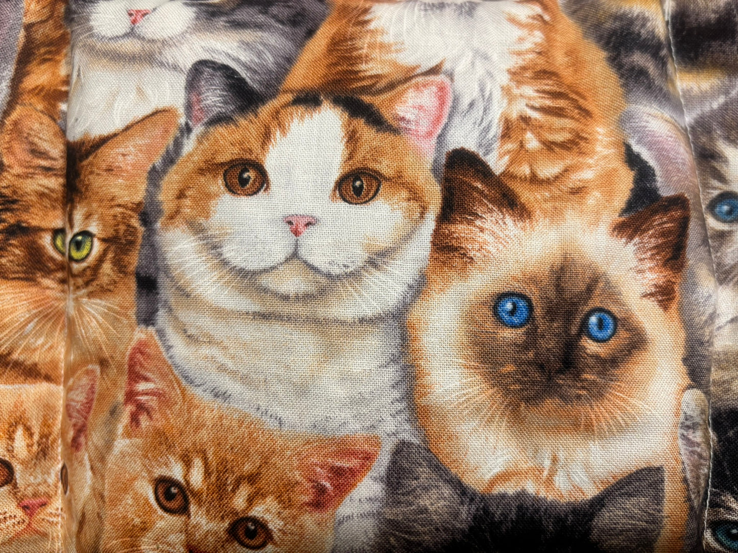 CHERRY-PIT-PAC ORIGINAL