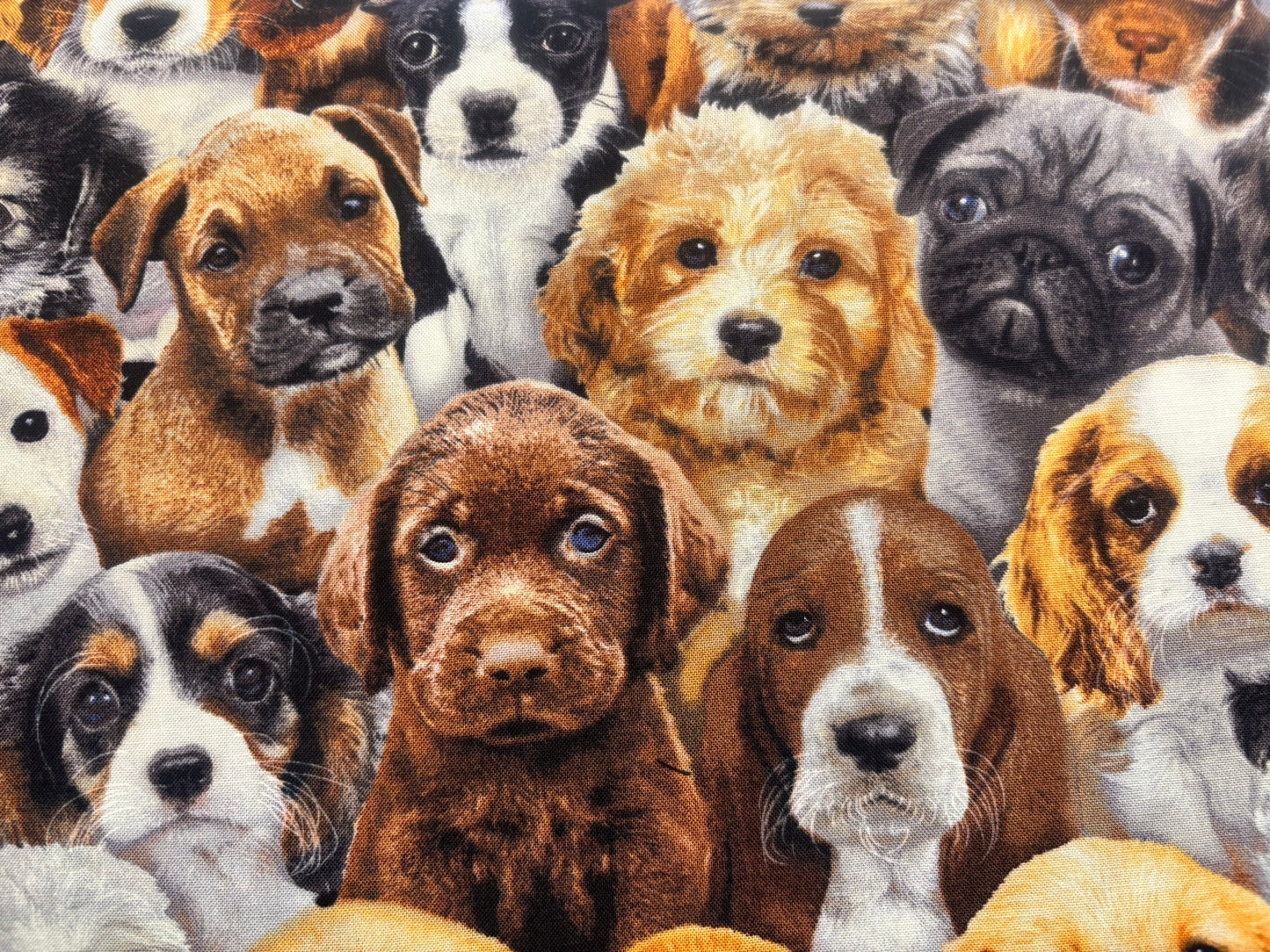 CHERRY-PIT-PAC ORIGINAL